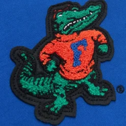 Team Legacy French Terry Hoodie University Of Florida