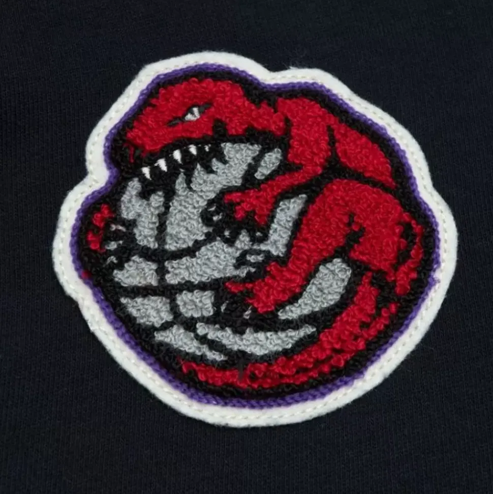 Team Legacy French Terry Hoodie Toronto Raptors