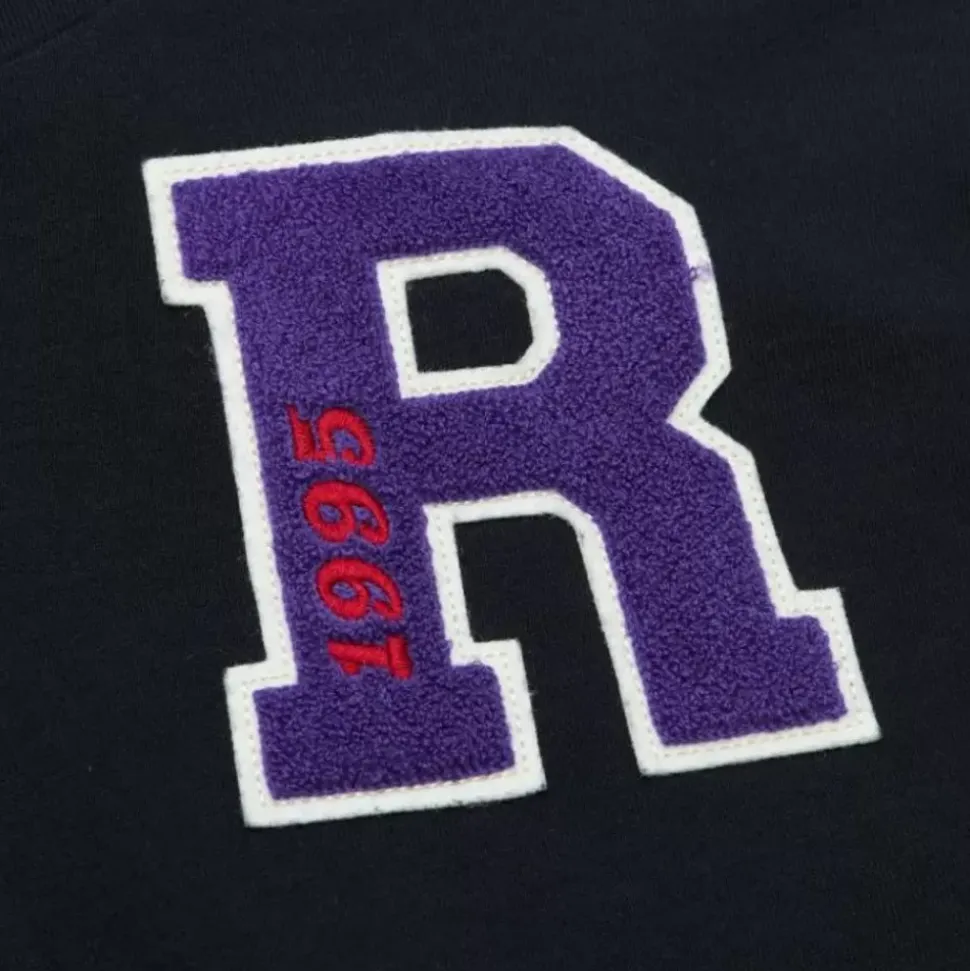 Team Legacy French Terry Hoodie Toronto Raptors