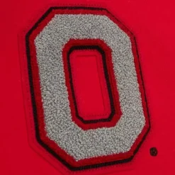 Team Legacy French Terry Hoodie Ohio State