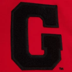 Team Legacy French Terry Hoodie University Of Georgia