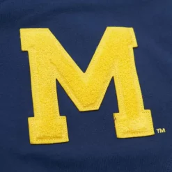 Team Legacy French Terry Hoodie University Of Michigan