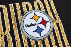 Team Og 2.0 Ss Tee Pittsburgh Steelers