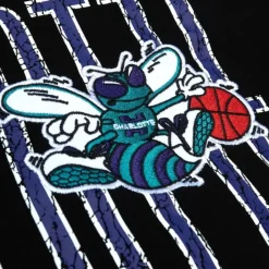 Team Og Fleece 2.0 Charlotte Hornets