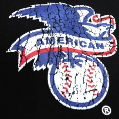 Team Og Fleece 2.0 Houston Astros