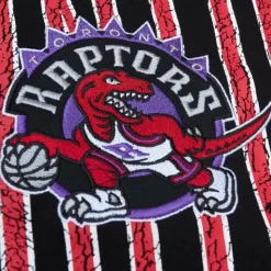 Team Og Fleece 2.0 Toronto Raptors