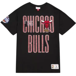 Team Og Premium Ss Tee Chicago Bulls