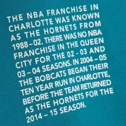 Team Origins Fleece Hoody Charlotte Hornets