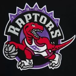 Team Origins Fleece Hoody Toronto Raptors