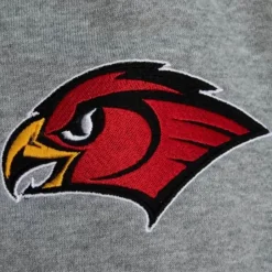 Team Origins Fleece Pant Atlanta Hawks