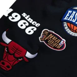 Team Origins Fleece Short Chicago Bulls