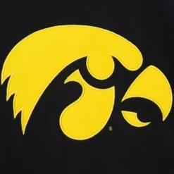 Team Origins Hoodie University Of Iowa