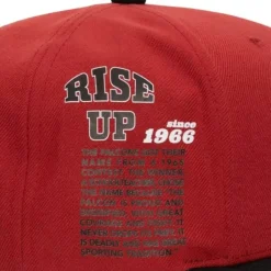 Team Origins Snapback Atlanta Falcons