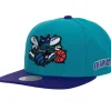 Team Origins Snapback Hwc Charlotte Hornets