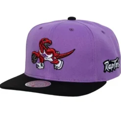 Team Origins Snapback Hwc Toronto Raptors