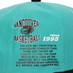 Team Origins Snapback Hwc Vancouver Grizzlies