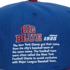 Team Origins Snapback New York Giants