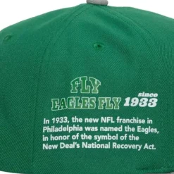Team Origins Snapback Philadelphia Eagles