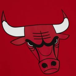 Team Origins S/S Top Chicago Bulls