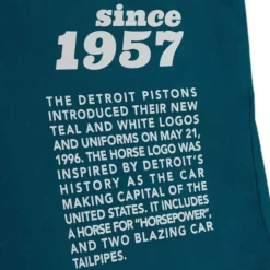 Team Origins S/S Top Detroit Pistons