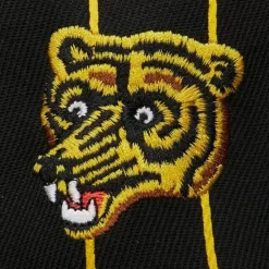 Team Pin Snapback Boston Bruins