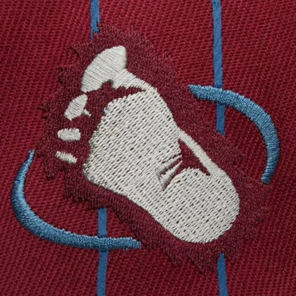 Team Pin Snapback Colorado Avalanche