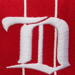 Team Pin Snapback Detroit Red Wings
