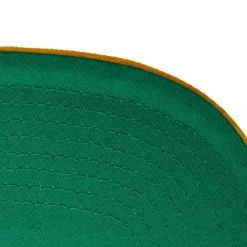 Team Pin Snapback Hwc Atlanta Hawks