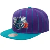 Team Pin Snapback Hwc Charlotte Hornets