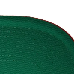 Team Pin Snapback Hwc Miami Heat