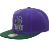 Team Pin Snapback Hwc Milwaukee Bucks