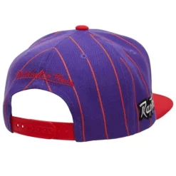 Team Pin Snapback Hwc Toronto Raptors