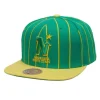 Team Pin Snapback Minnesota North Stars
