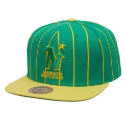 Team Pin Snapback Minnesota North Stars
