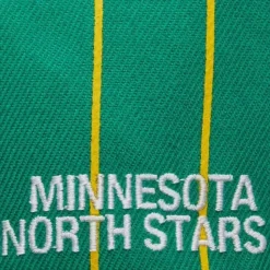 Team Pin Snapback Minnesota North Stars