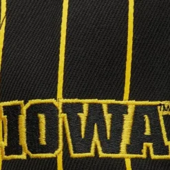 Team Pin Snapback University Of Iowa