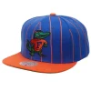 Team Pin Snapback University Of Florida