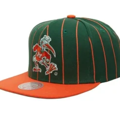 Team Pin Snapback University Of Miami