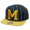 Team Pin Snapback University Of Michigan