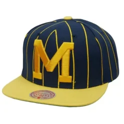 Team Pin Snapback University Of Michigan