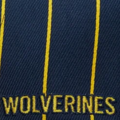 Team Pin Snapback University Of Michigan