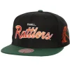 Team Script 2.0 Snapback Florida A&M University