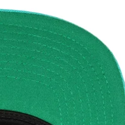 Team Script 2.0 Snapback Hwc Vancouver Grizzlies