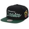 Team Script 2.0 Snapback Hwc Seattle Supersonics