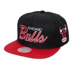 Team Script 2.0 Snapback Hwc Chicago Bulls