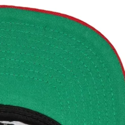 Team Script 2.0 Snapback Hwc Chicago Bulls