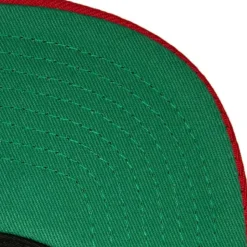 Team Script 2.0 Snapback Hwc Miami Heat