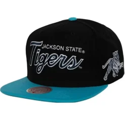 Team Script 2.0 Snapback Jackson State University