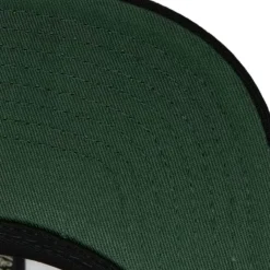 Team Script 2.0 Snapback Milwaukee Bucks