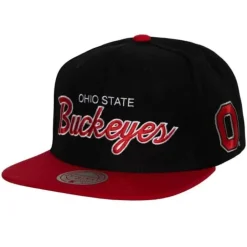 Team Script 2.0 Snapback Ohio State
